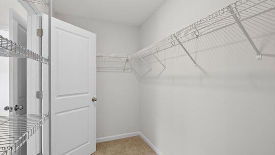 Galvins Ridge_Hayden B_463_White_FP_SPEC Galvins Ridge_Hayden B_463_White_FP_SPEC