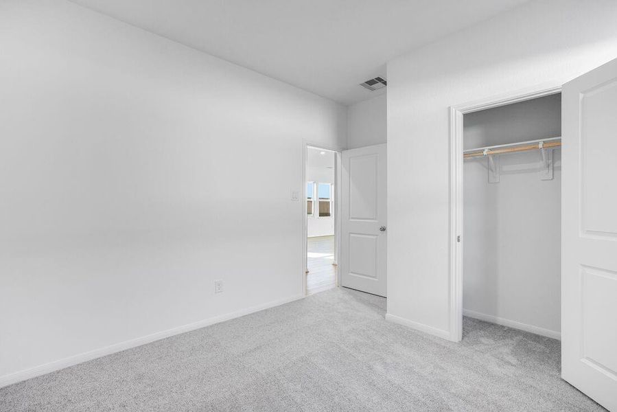 26814 Celestial Cypress ~ Ready Now