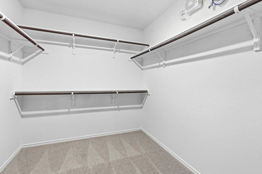 Spacious walk-in closet featuring light gray patterned carpet, multiple dark wood-finish hanging rods, and white wall shelving