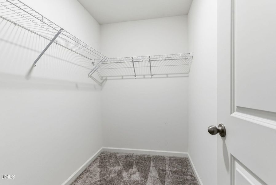 449 Hacksaw Trail-35