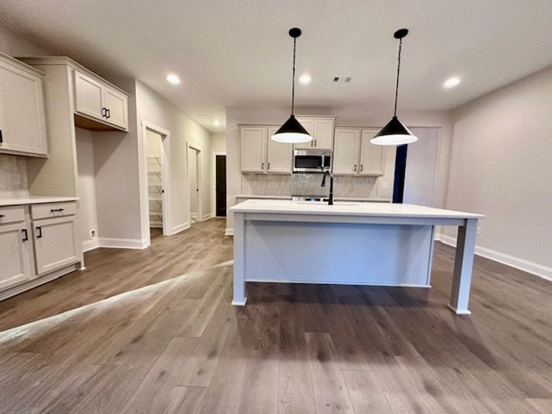 Furnished interior view inside a new home in Perkins Place, Hogansville (Image 4).