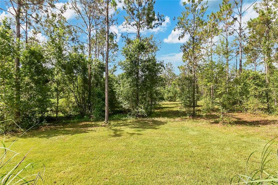 View off the back of pool deck View off the back of pool deck