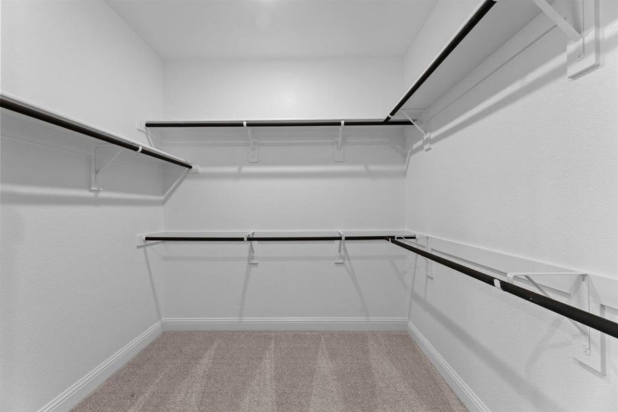 DAL_Painted Tree_Goodlow_4013 Clingsman Way (27)