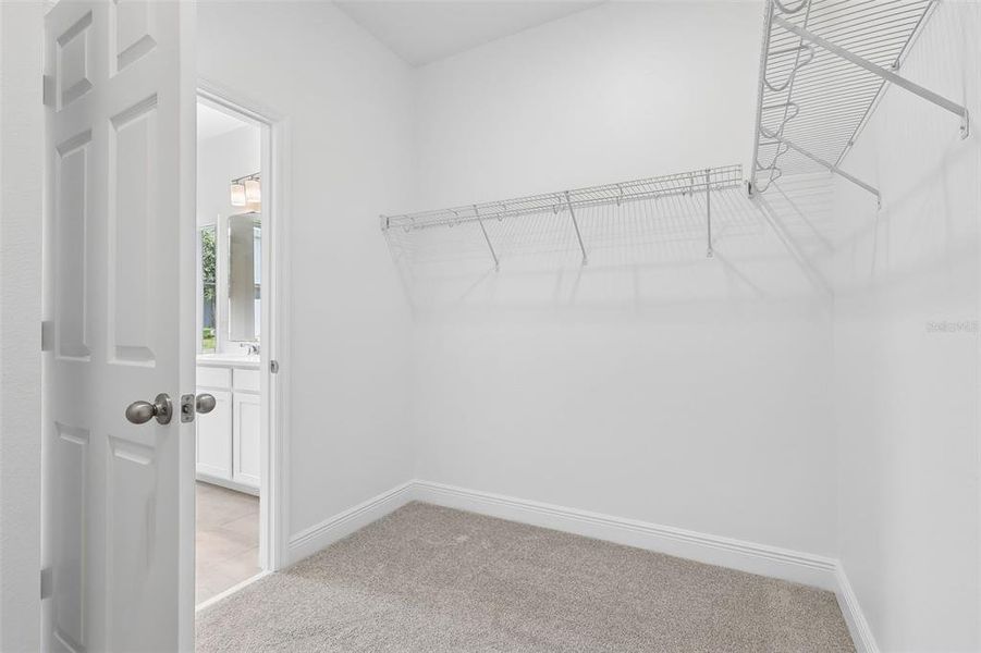 Spacious, unfurnished interior of a new home in Park View at the Hills, Minneola (Image 14). Spacious, unfurnished interior of a new home in Park View at the Hills, Minneola (Image 14).