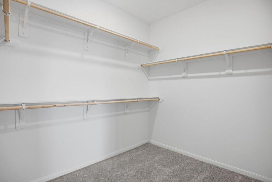 21847 Honey Scent ~ Ready Now