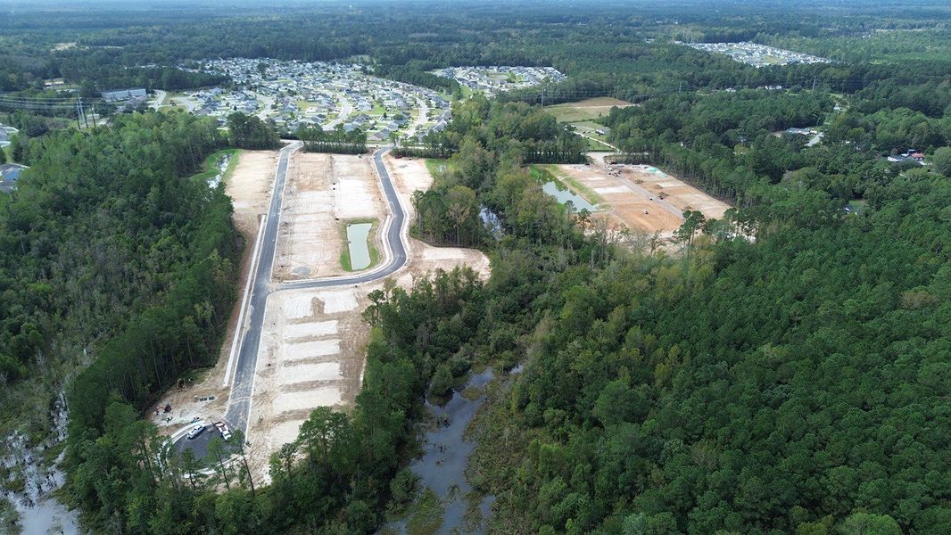 Site preparation for new homesites in Hemingway Landing, Conway (Image 23).