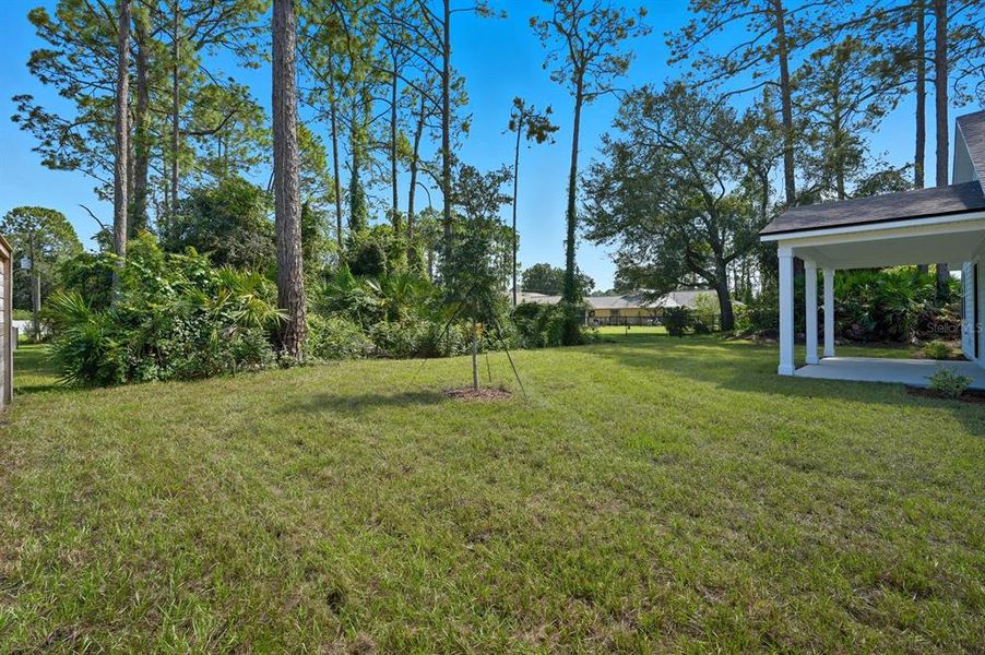 Natural landscape and outdoor views near Palm Coast Homes in Palm Coast (Image 49).