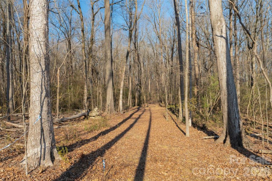Natural landscape and outdoor views near  in Waxhaw (Image 26).