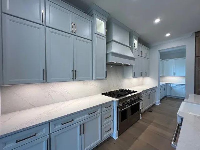 The Belterra D Kitchen The Belterra D Kitchen