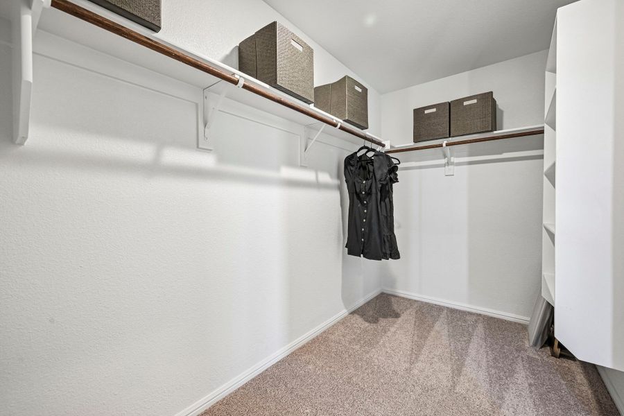 Owner's Closet