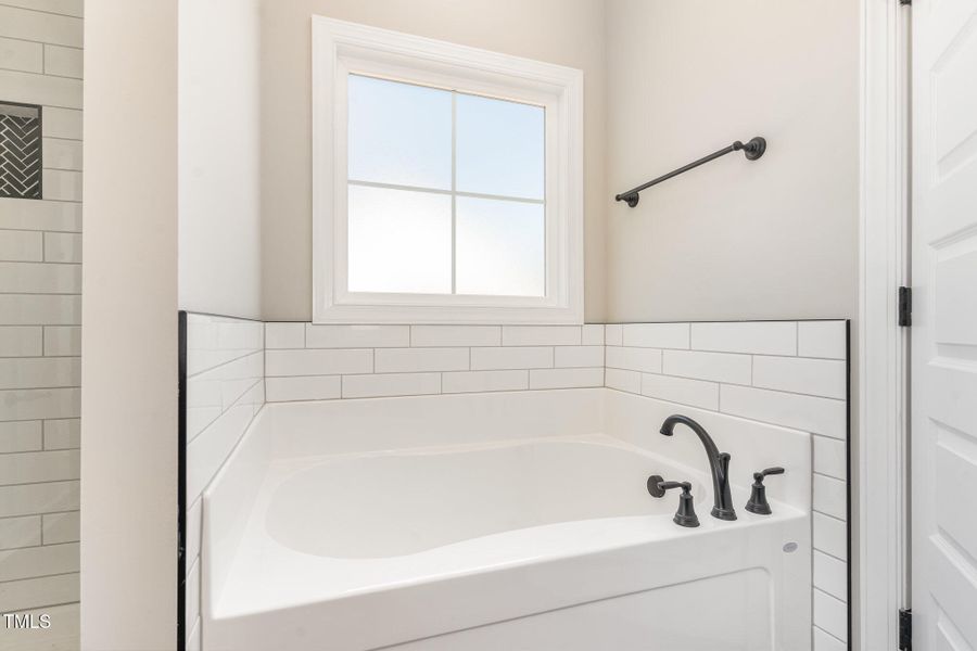 018_dsc00244-edit_427 018_dsc00244-edit_427