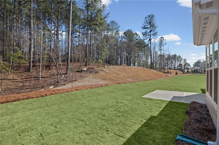 Exterior details and patio area of a home in Governor’s Preserve, Canton (Image 3).