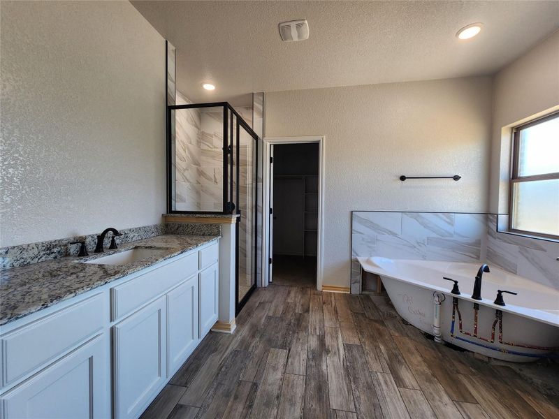 Full bath featuring a shower stall, a soaking tub, vanity, a walk in closet, and dark wood-type flooring