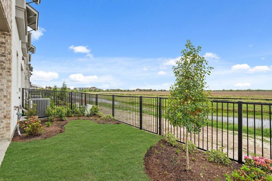 Backyard