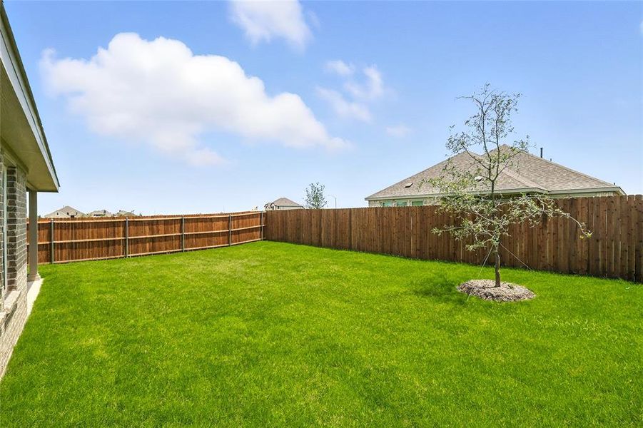 View of fenced backyard