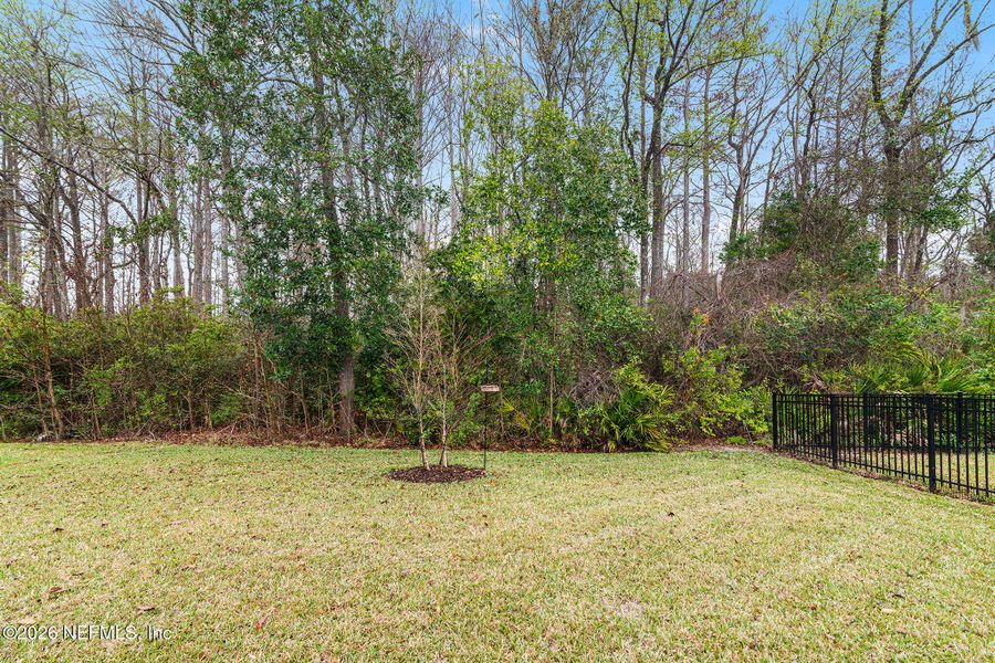 Natural landscape and outdoor views near  in Jacksonville (Image 48).