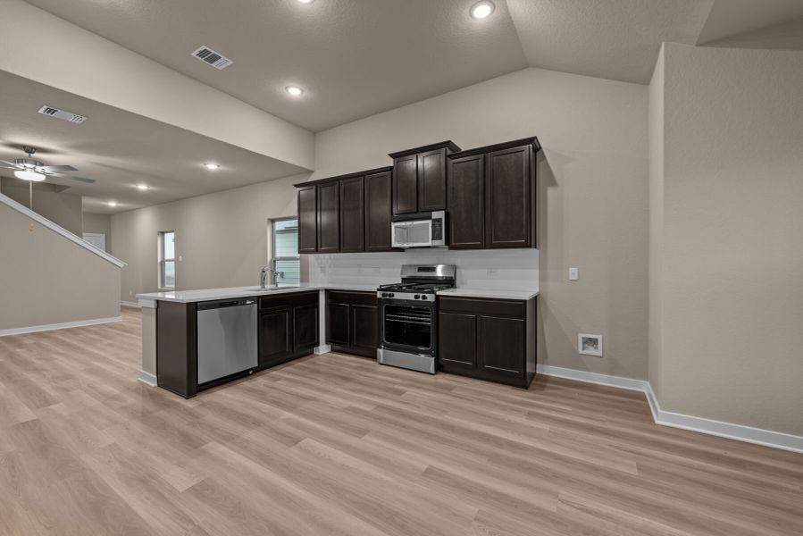 Representational Photo of Larkspur Representational Photo of Larkspur