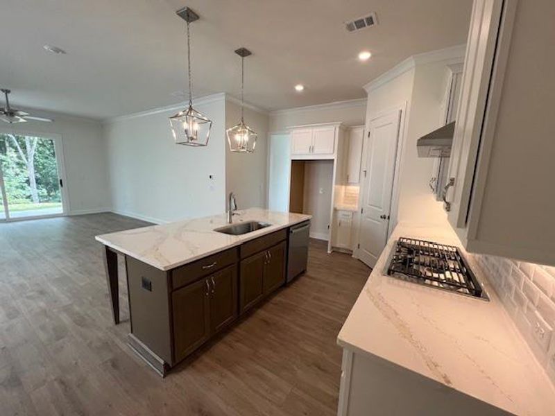 Furnished interior view inside a new home in Palisades Single Family, Cumming (Image 15). Furnished interior view inside a new home in Palisades Single Family, Cumming (Image 15).