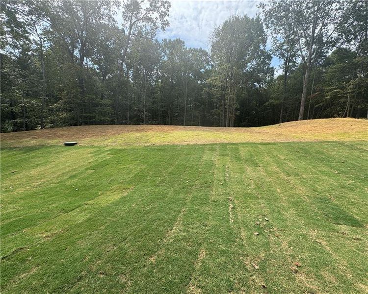 Exterior details and patio area of a home in Tuscany Hills, Douglasville (Image 28).