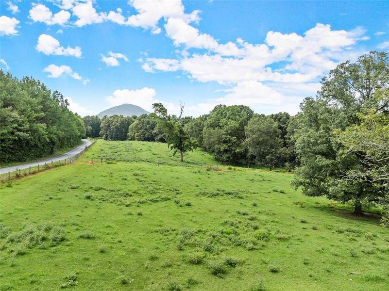 Natural landscape and outdoor views near  in Cleveland (Image 6).
