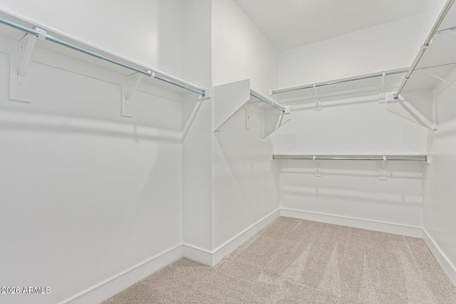 19-Los Arboles 19-Los Arboles