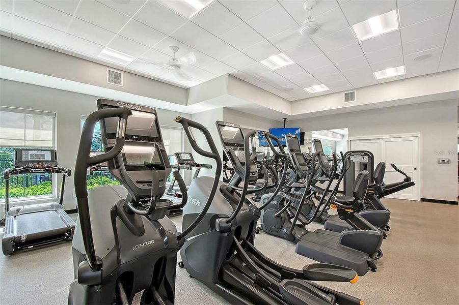 Community amenities in Star Farms at Lakewood Ranch, Bradenton (Image 64).