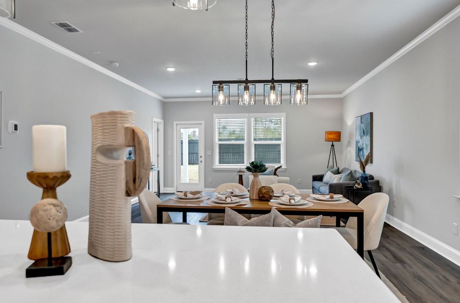 Furnished interior view inside a new home in Monroe Preserve, Chapin (Image 13).
