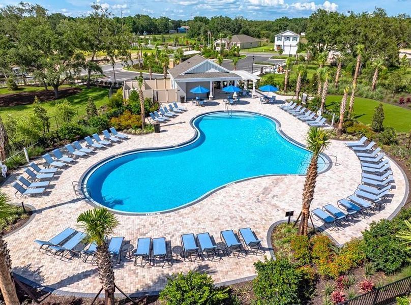 Community amenities in Palm Wind, Hudson (Image 32).