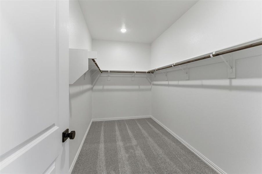 Spacious walk-in closet featuring white walls, gray striped carpet, and built-in shelving with hanging rods