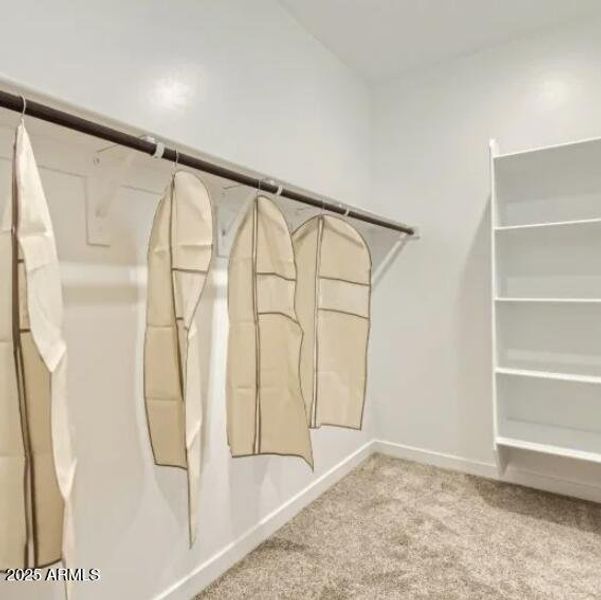 Owners Walk in Closet Owners Walk in Closet