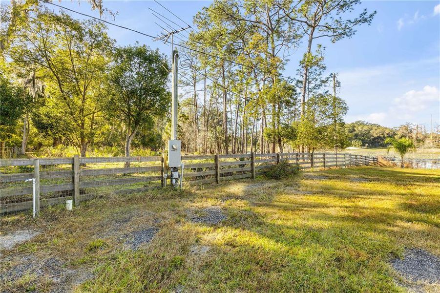 Natural landscape and outdoor views near  in Pierson (Image 26).