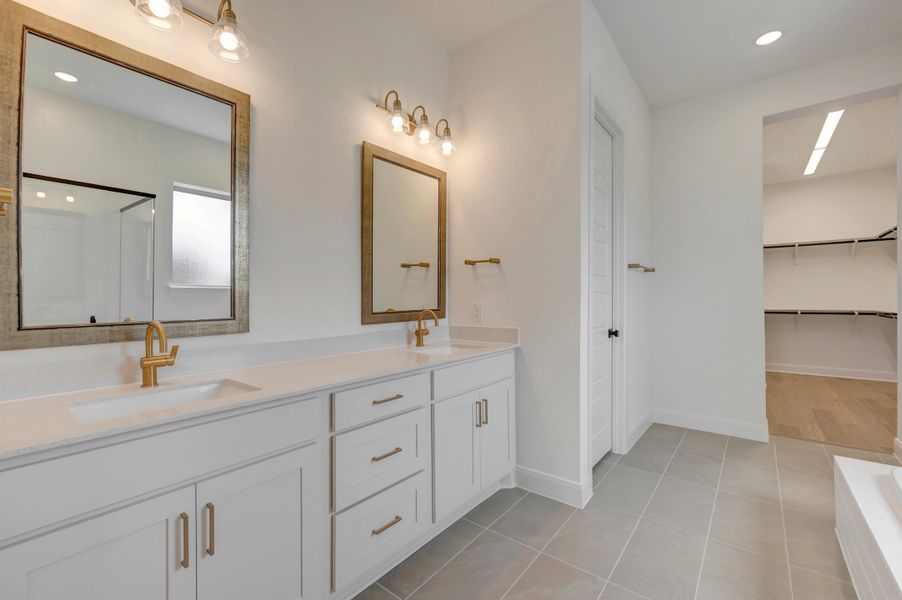 Owner's Bath