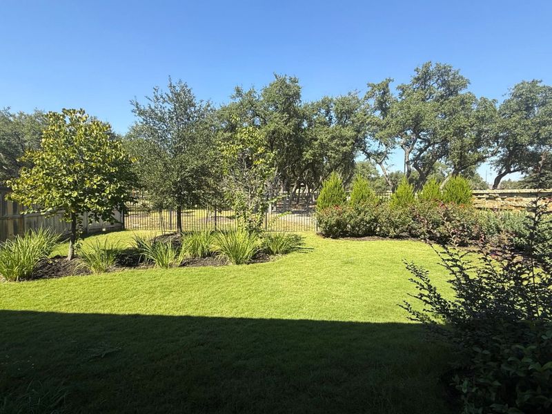 Natural landscape and outdoor views near Parmer Ranch in Georgetown (Image 29).