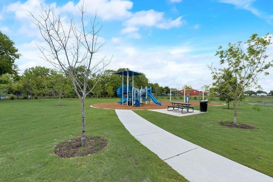 Community Playground