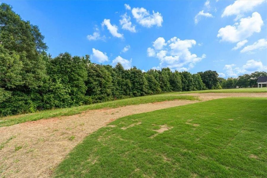 Natural landscape and outdoor views near  in Roopville (Image 56).