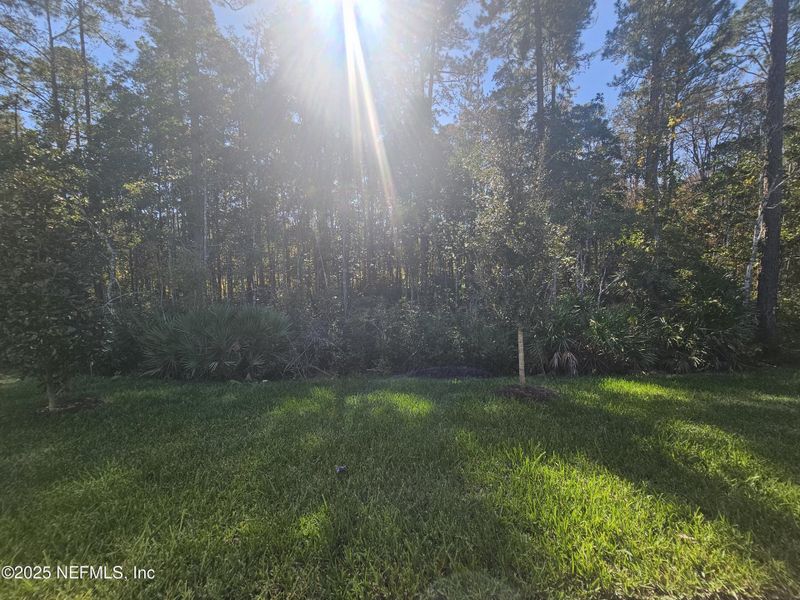 Natural landscape and outdoor views near  in St. Johns (Image 42).