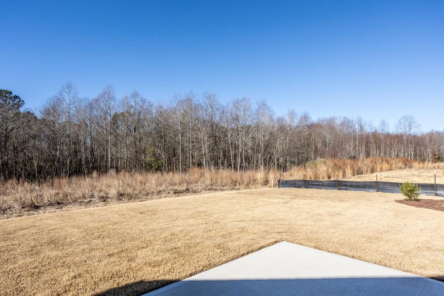 Natural landscape and outdoor views near 1158 Place in Wilson (Image 32). Natural landscape and outdoor views near 1158 Place in Wilson (Image 32).