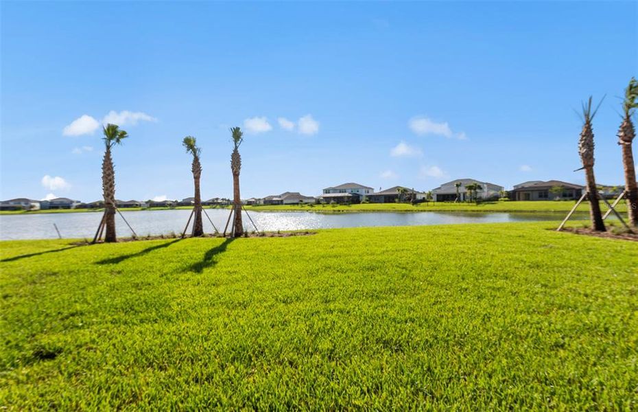 Natural landscape and outdoor views near SeaFlower in Bradenton (Image 42).
