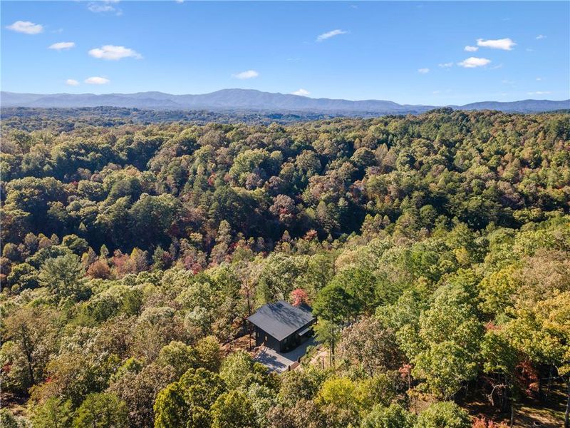 Natural landscape and outdoor views near  in Mineral Bluff (Image 43).