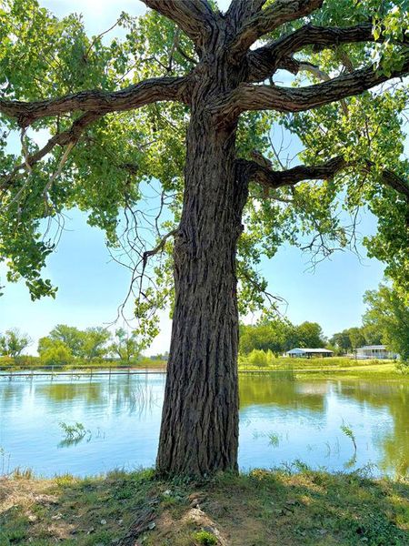 Image 35 of a home in . Image 35 of a home in .