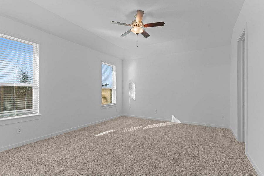 representative photo