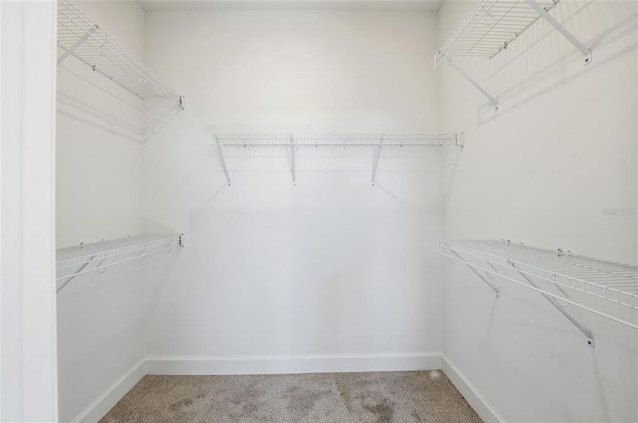 Spacious, unfurnished interior of a new home in Vivir, Valrico (Image 24).