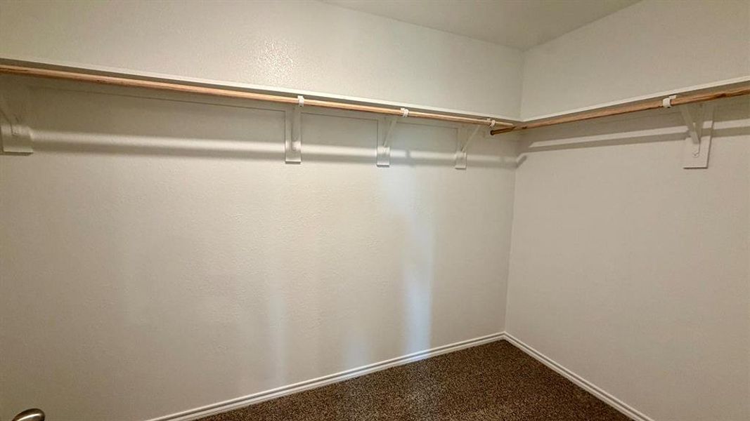 Corner closet with light brown carpet, white walls, and built-in wood-finish shelving and hanging rods