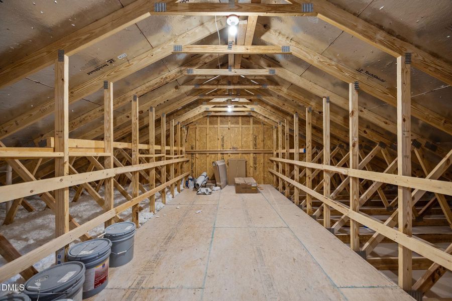 53-web-or-mls-IMG_8610