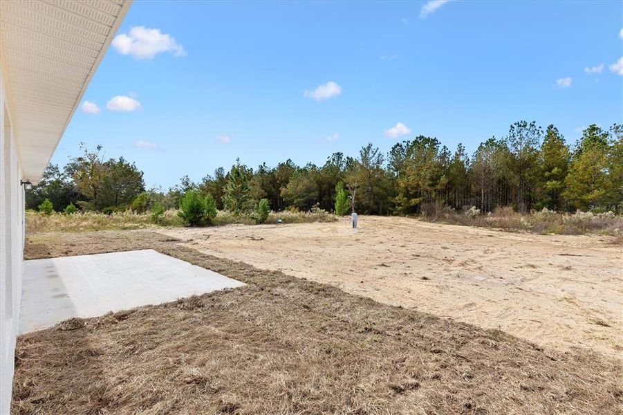 Exterior details and patio area of a home in , Ocklawaha (Image 3).