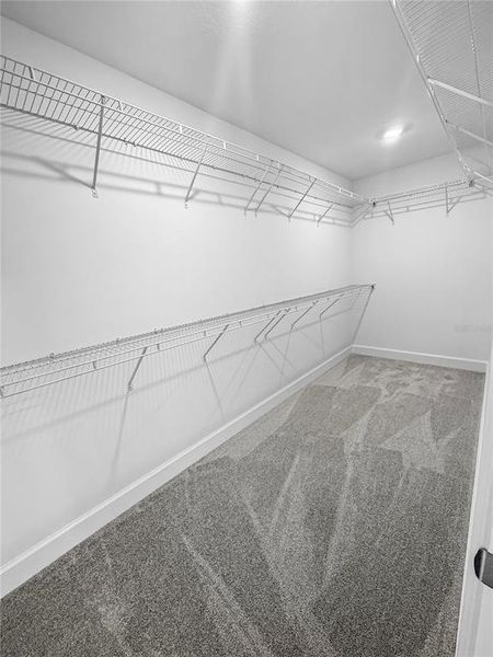 Spacious, unfurnished interior of a new home in , Harmony (Image 12). Spacious, unfurnished interior of a new home in , Harmony (Image 12).