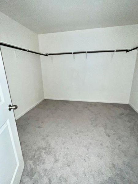 Spacious closet with carpet