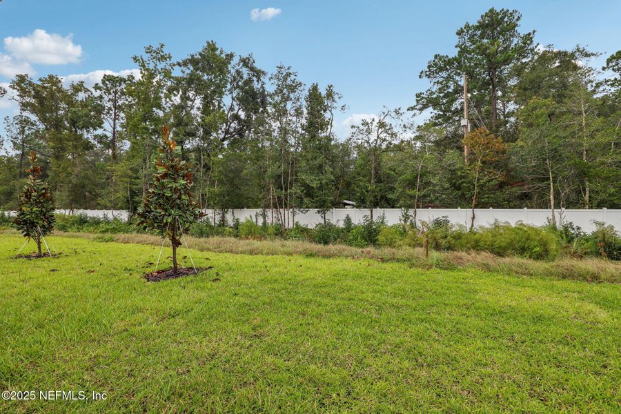Natural landscape and outdoor views near Azalea Creek in Jacksonville (Image 36). Natural landscape and outdoor views near Azalea Creek in Jacksonville (Image 36).