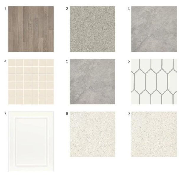 5539 Wolfpack Alley design selections! This home is currently under construction and selections are subject to change.