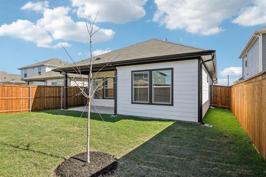 Exterior details and patio area of a home in Lakehaven - Spring Series, Farmersville (Image 3).